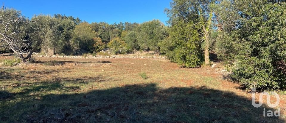 Horses property 2 rooms of 50 m² in Ceglie Messapica (72013)