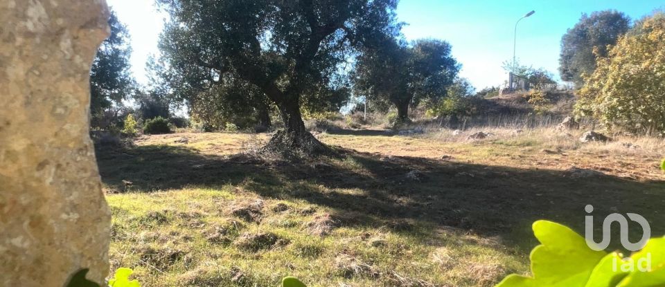 Horses property 2 rooms of 50 m² in Ceglie Messapica (72013)