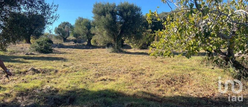 Horses property 2 rooms of 50 m² in Ceglie Messapica (72013)