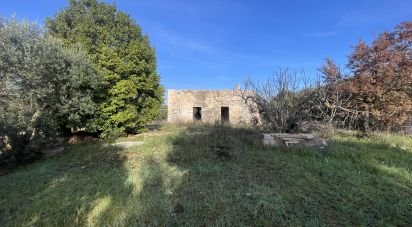 Rustico 2 locali di 50 m² in Cisternino (72014)