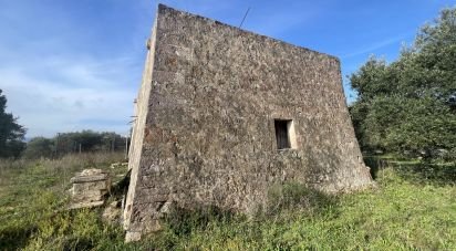 Rustico 2 locali di 50 m² in Cisternino (72014)