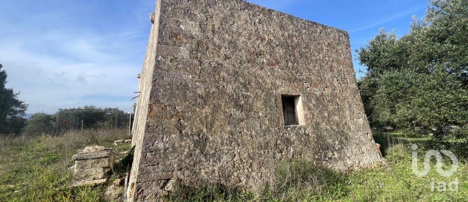 Rustico 2 locali di 50 m² in Cisternino (72014)