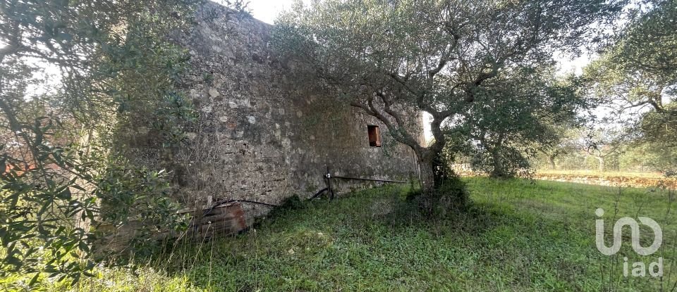 Rustico 2 locali di 50 m² in Cisternino (72014)