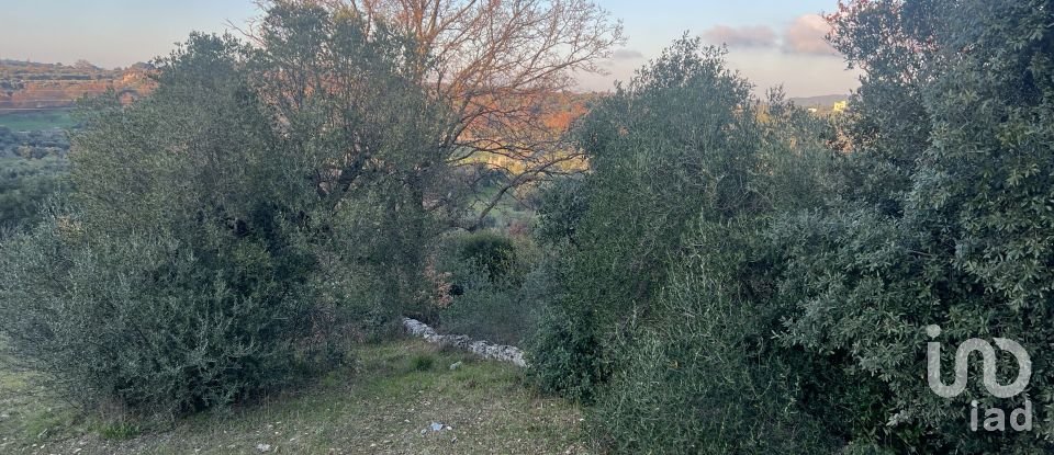 Terreno di 1.071 m² in Cisternino (72014)