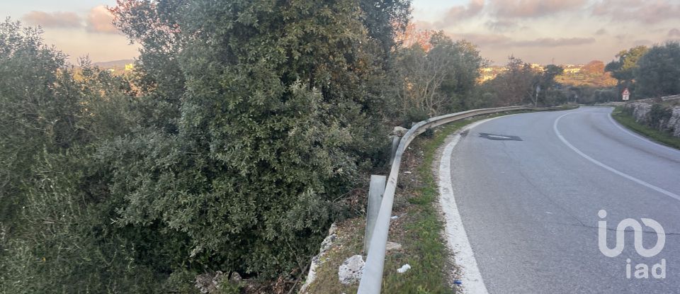 Terreno di 1.071 m² in Cisternino (72014)