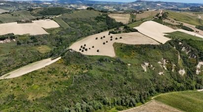 Casa indipendente 5 locali di 320 m² in Ripatransone (63065)