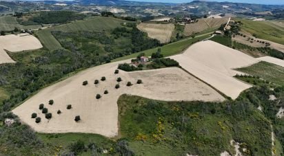 Casa indipendente 5 locali di 320 m² in Ripatransone (63065)