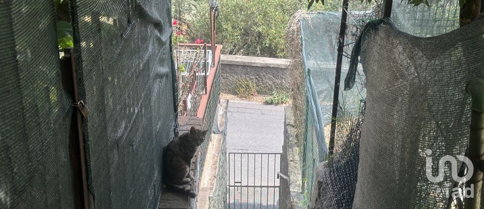 Appartamento 5 locali di 80 m² a Genova (16133)