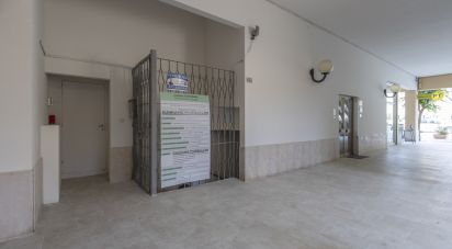 Negozio / locale commerciale di 180 m² in Numana (60026)