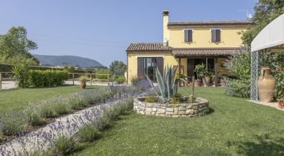 Casa indipendente / Villa 6 locali di 180 m² in Sirolo (60020)