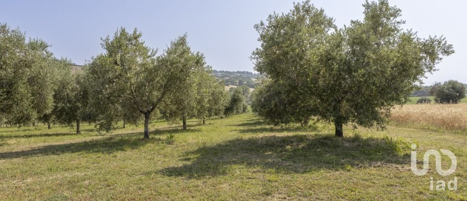 Casa indipendente / Villa 6 locali di 180 m² in Sirolo (60020)