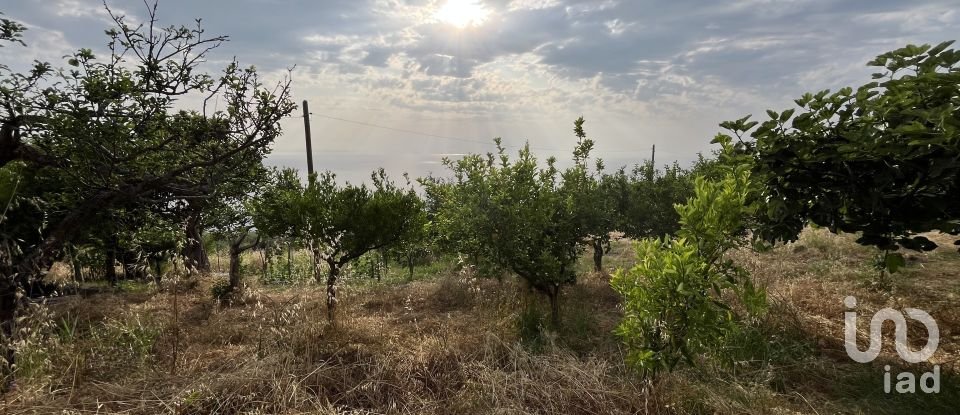 Appartamento 5 locali di 126 m² a - (87030)