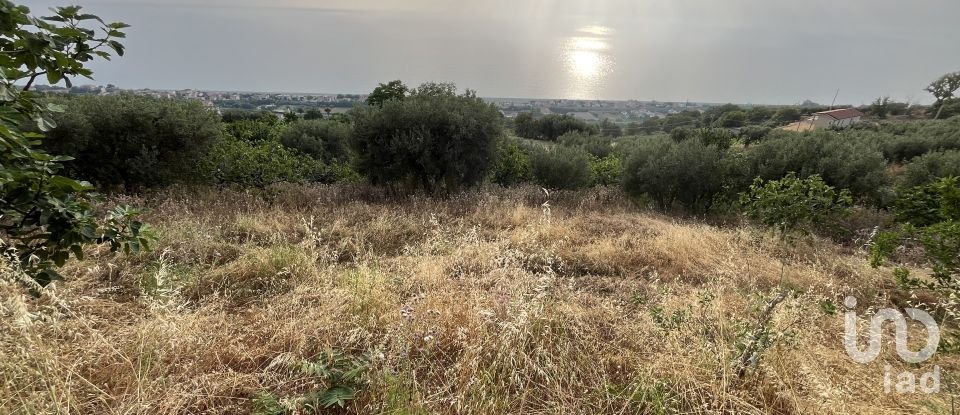 Appartamento 5 locali di 126 m² a - (87030)