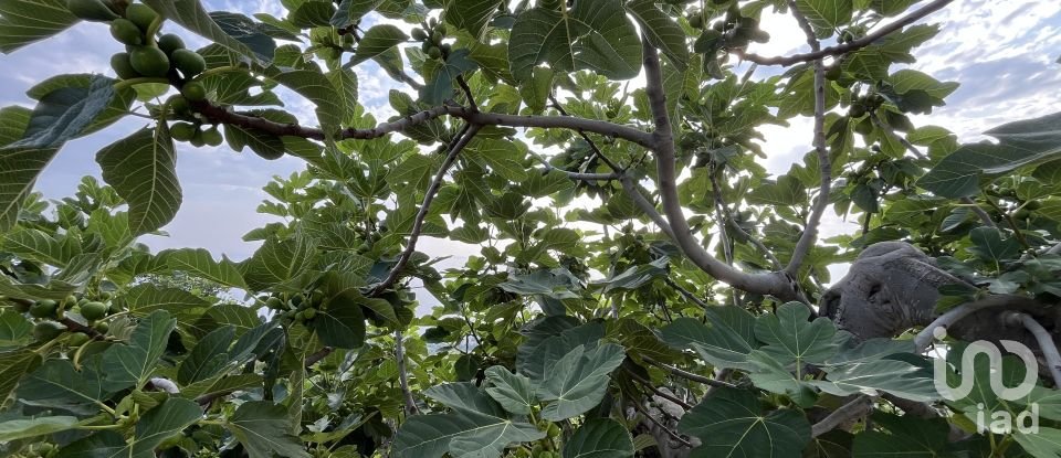 Appartamento 5 locali di 126 m² a - (87030)