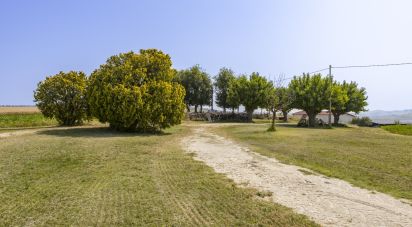 Rustico 7 locali di 270 m² in Filottrano (60024)