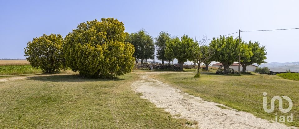 Rustico 7 locali di 270 m² in Filottrano (60024)