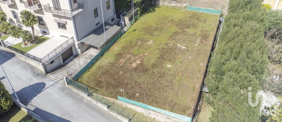 Varie superfici di 1.408 m² in Osimo (60027)