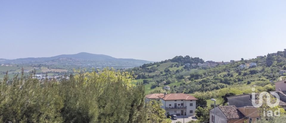 Varie superfici di 1.408 m² in Osimo (60027)