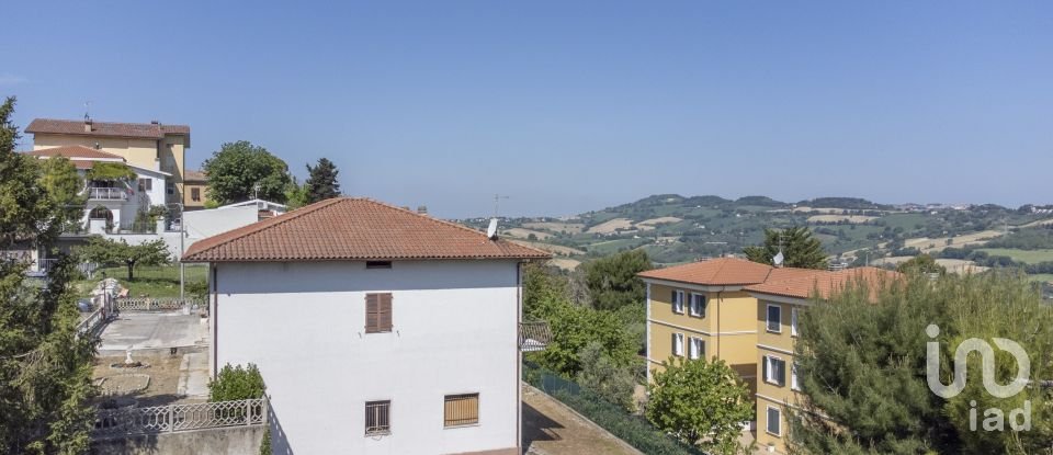 Varie superfici di 1.408 m² in Osimo (60027)