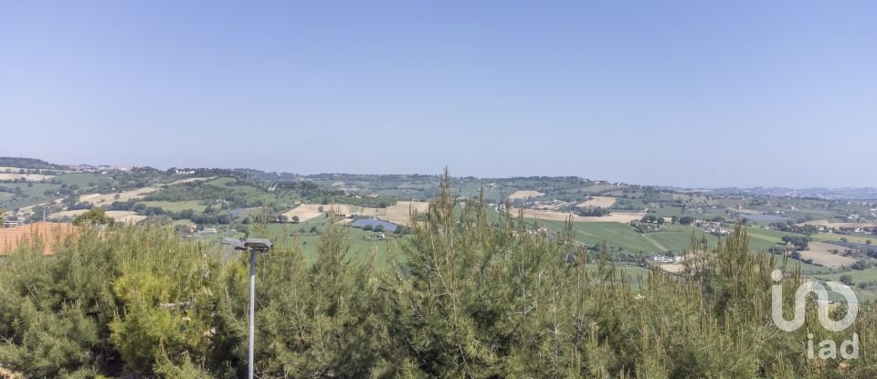 Varie superfici di 1.408 m² in Osimo (60027)