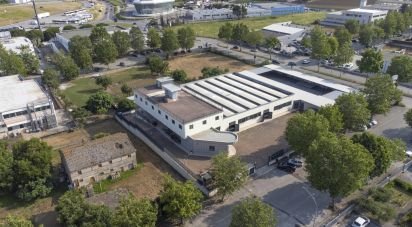 Varie superfici di 3.200 m² in Porto Sant'Elpidio (63821)