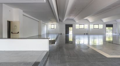 Varie superfici di 3.200 m² in Porto Sant'Elpidio (63821)