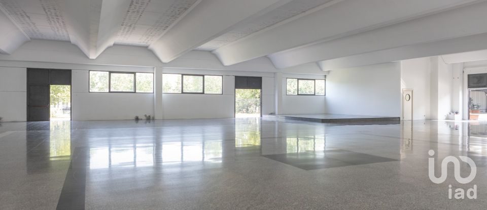 Other surface of 3,200 m² in Porto Sant'Elpidio (63821)