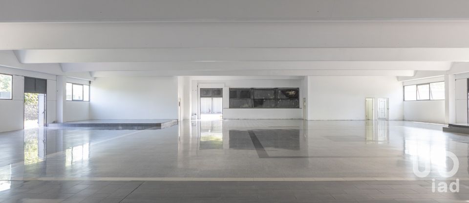 Other surface of 3,200 m² in Porto Sant'Elpidio (63821)