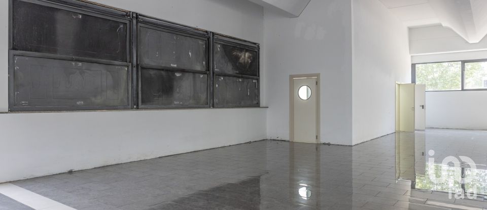 Other surface of 3,200 m² in Porto Sant'Elpidio (63821)