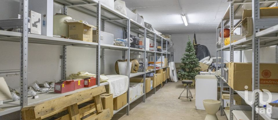 Other surface of 3,200 m² in Porto Sant'Elpidio (63821)