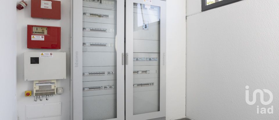 Other surface of 3,200 m² in Porto Sant'Elpidio (63821)