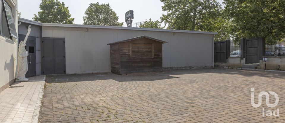 Other surface of 3,200 m² in Porto Sant'Elpidio (63821)