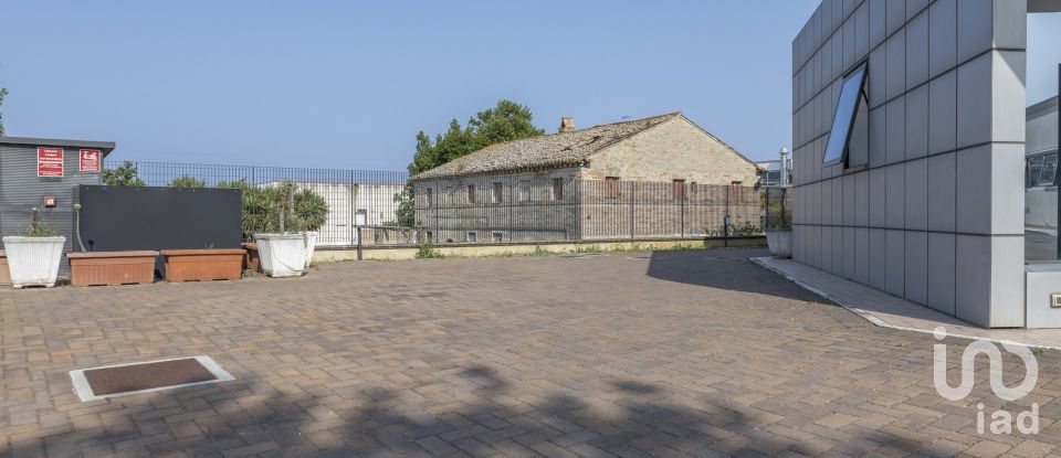 Other surface of 3,200 m² in Porto Sant'Elpidio (63821)