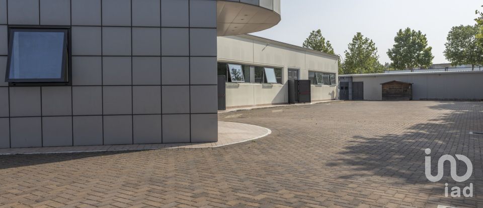 Other surface of 3,200 m² in Porto Sant'Elpidio (63821)