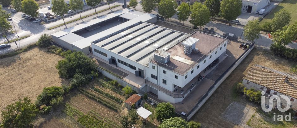 Other surface of 3,200 m² in Porto Sant'Elpidio (63821)