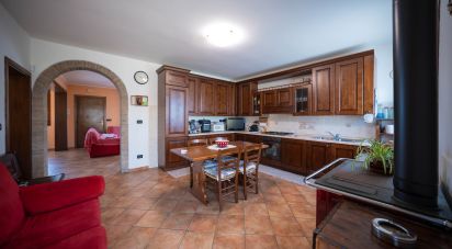 Casa indipendente / Villa 10 locali di 290 m² in Jolanda di Savoia (44037)