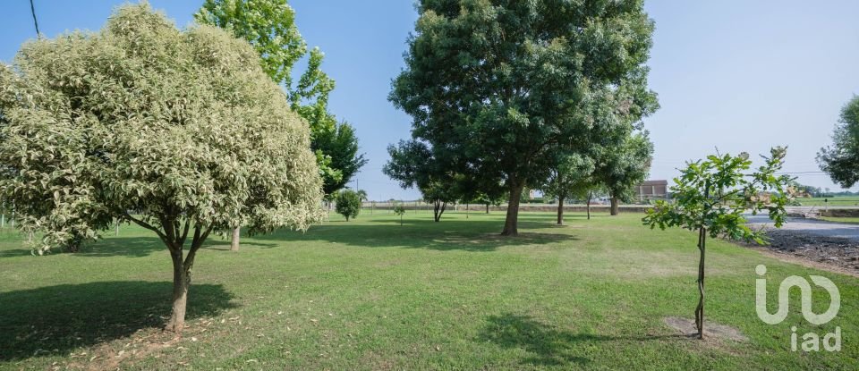 Casa indipendente / Villa 10 locali di 290 m² in Jolanda di Savoia (44037)