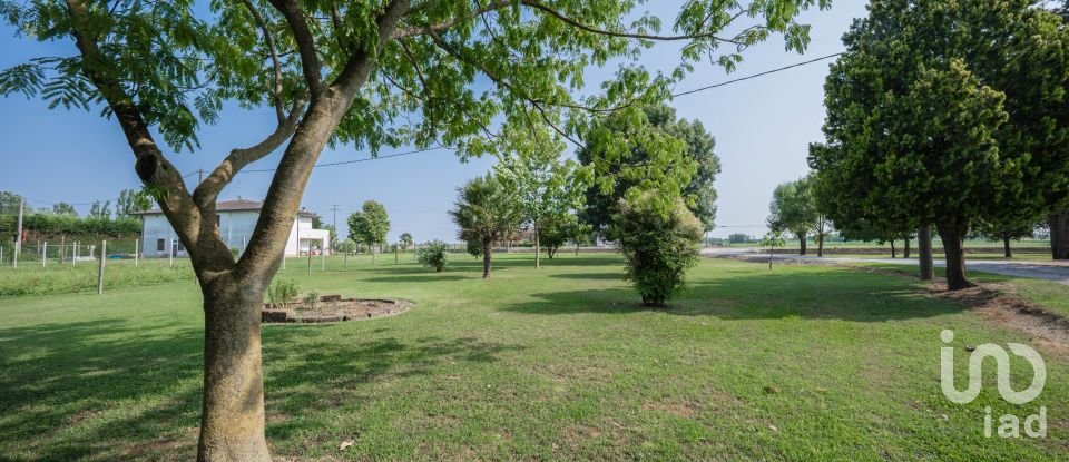 Casa indipendente / Villa 10 locali di 290 m² in Jolanda di Savoia (44037)