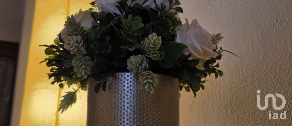 Appartamento 5 locali di 115 m² a Savona (17100)