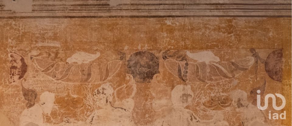 Villa storica 14 locali di 571 m² in Vigonza (35010)