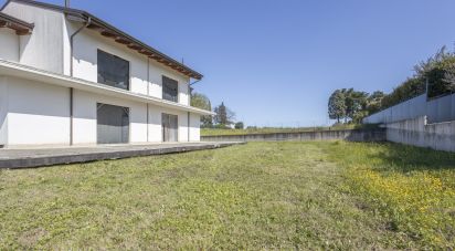 Villa Bifamiliare 9 locali di 120 m² in Osimo (60027)