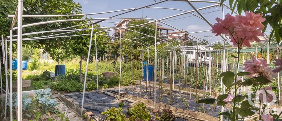 Three-room apartment of 95 m² in Brandizzo (10032)