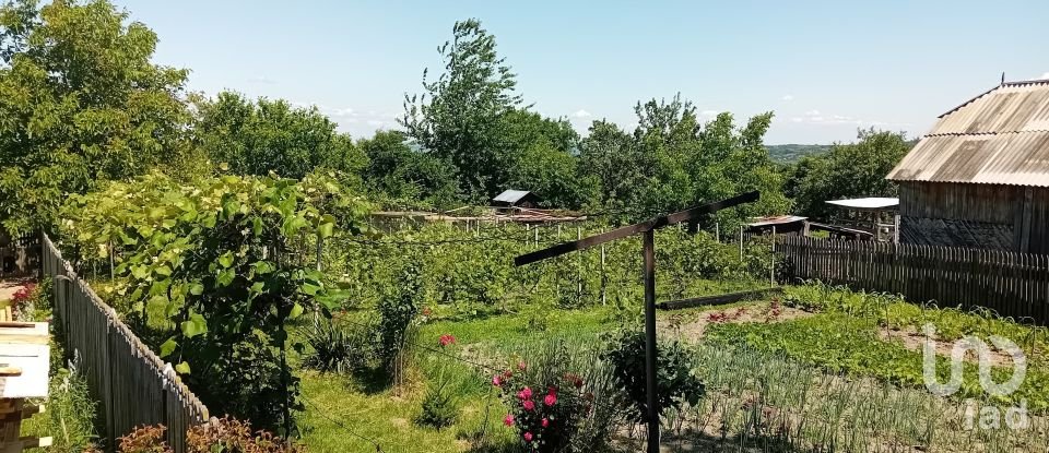 Townhouse 2 rooms of 70 m² in Cafasse (10070)