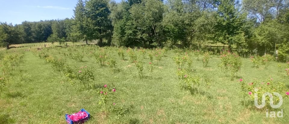 Townhouse 2 rooms of 70 m² in Cafasse (10070)