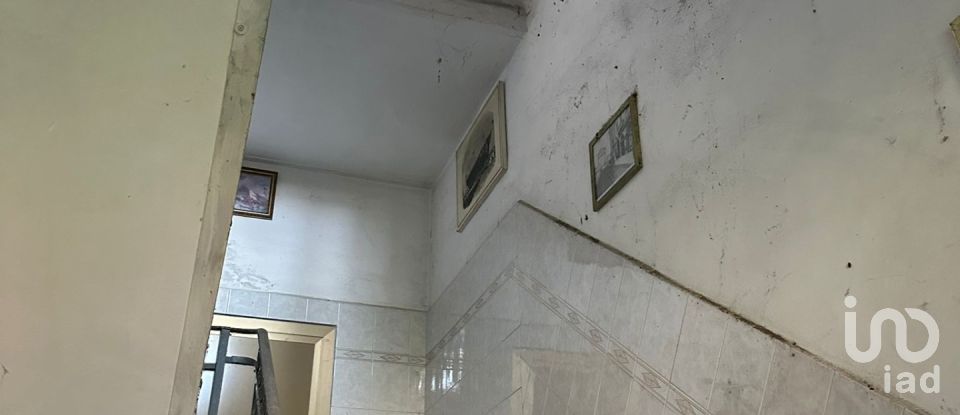 Costruzione di 300 m² in Settimo Torinese (10036)