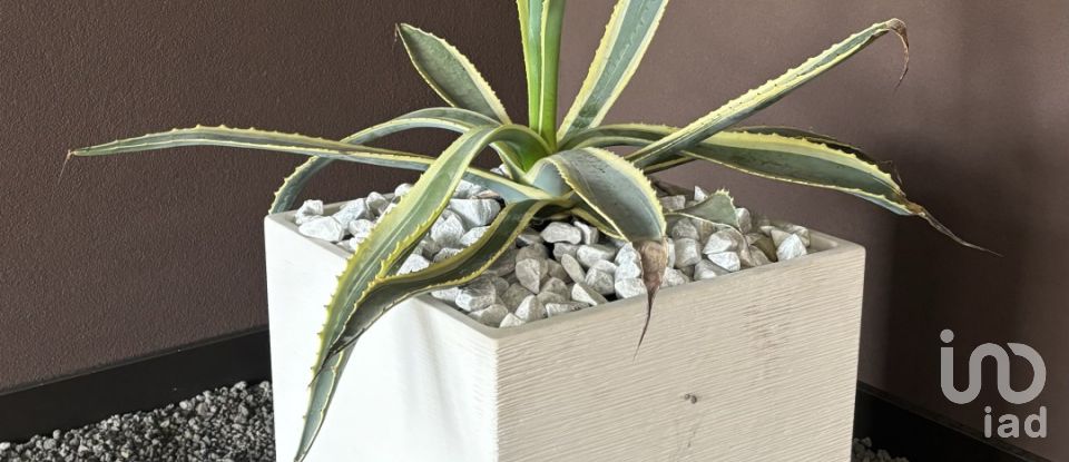 Quadrilocale di 168 m² a Albignasego (35020)