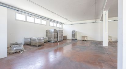 Negozio / locale commerciale di 247 m² in Osimo (60027)