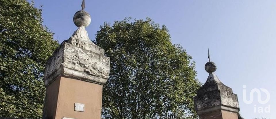 Costruzione di 2.533 m² in Castel d'Ario (46033)