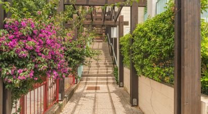 Quadrilocale di 55 m² a Ceriale (17023)