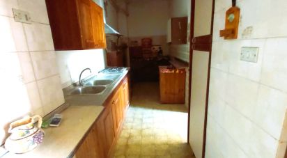 House 16 rooms of 500 m² in Aiello Calabro (87031)